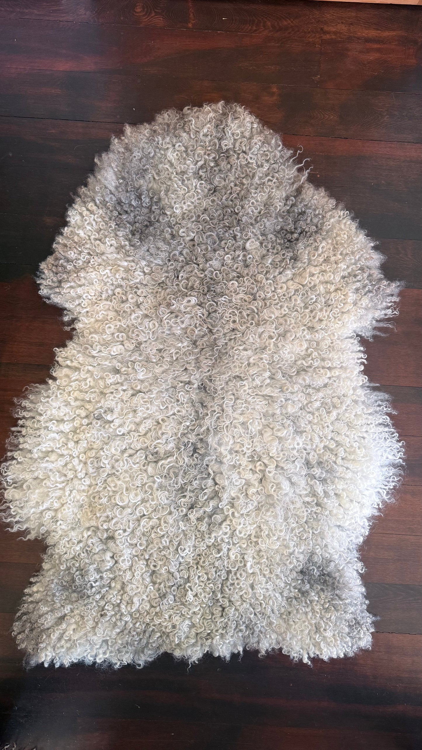 
                  
                    Gotland Sheepskin Rug, White/Silver, Long Wool
                  
                