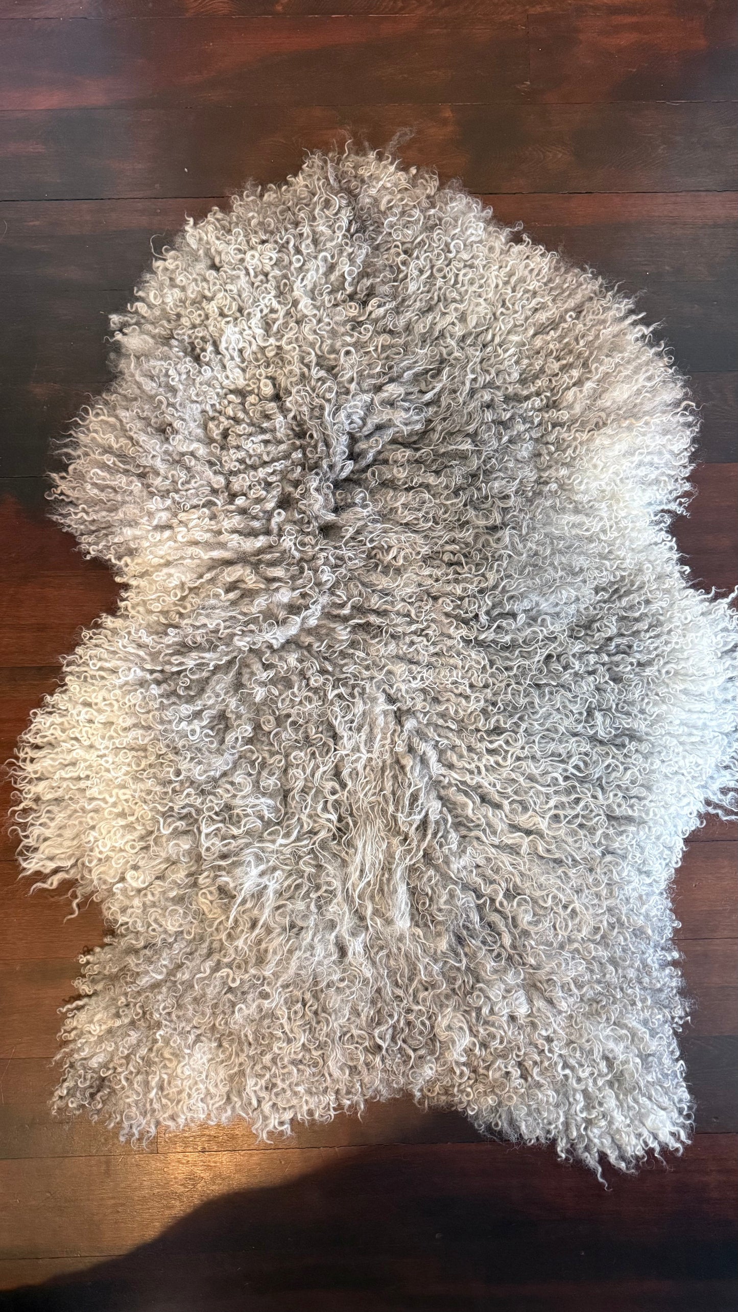 
                  
                    Gotland Sheepskin Rug, Light Grey/Silver, Long Wool
                  
                