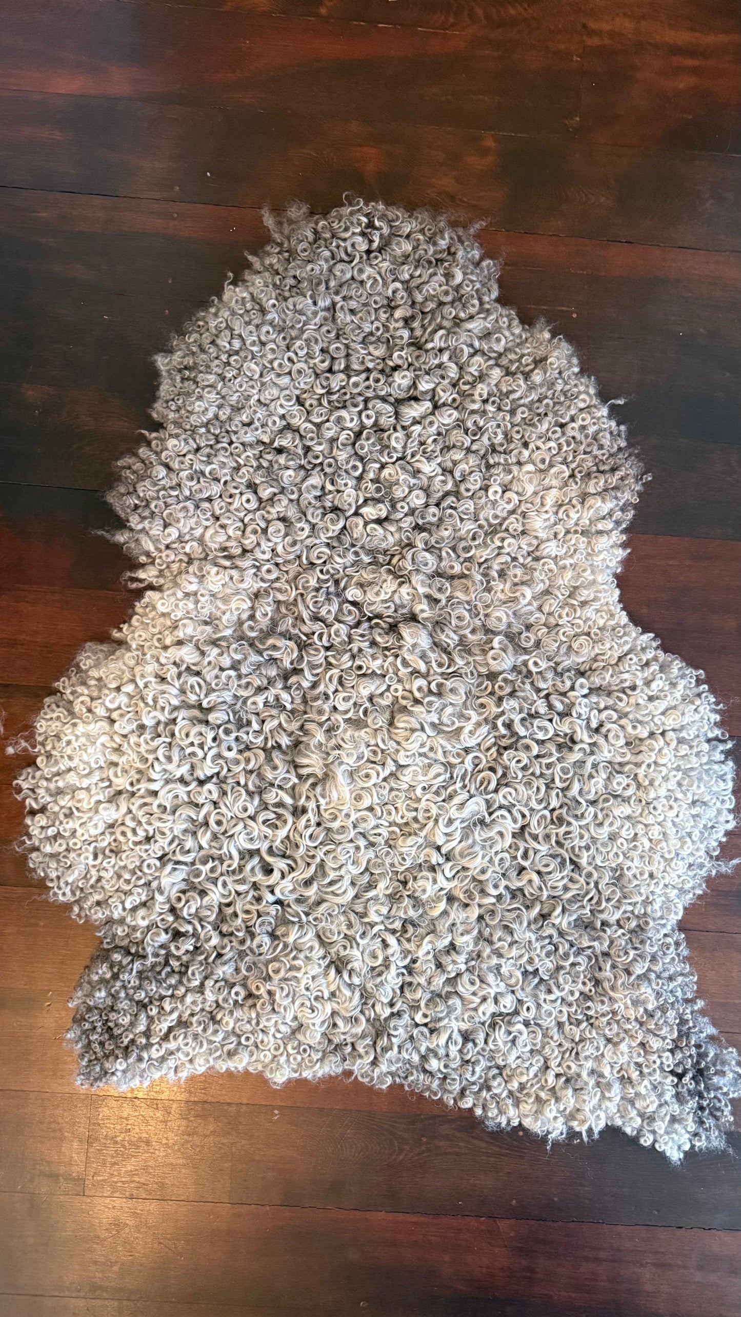 
                  
                    Gotland Sheepskin Rug, Silver, Short Wool
                  
                