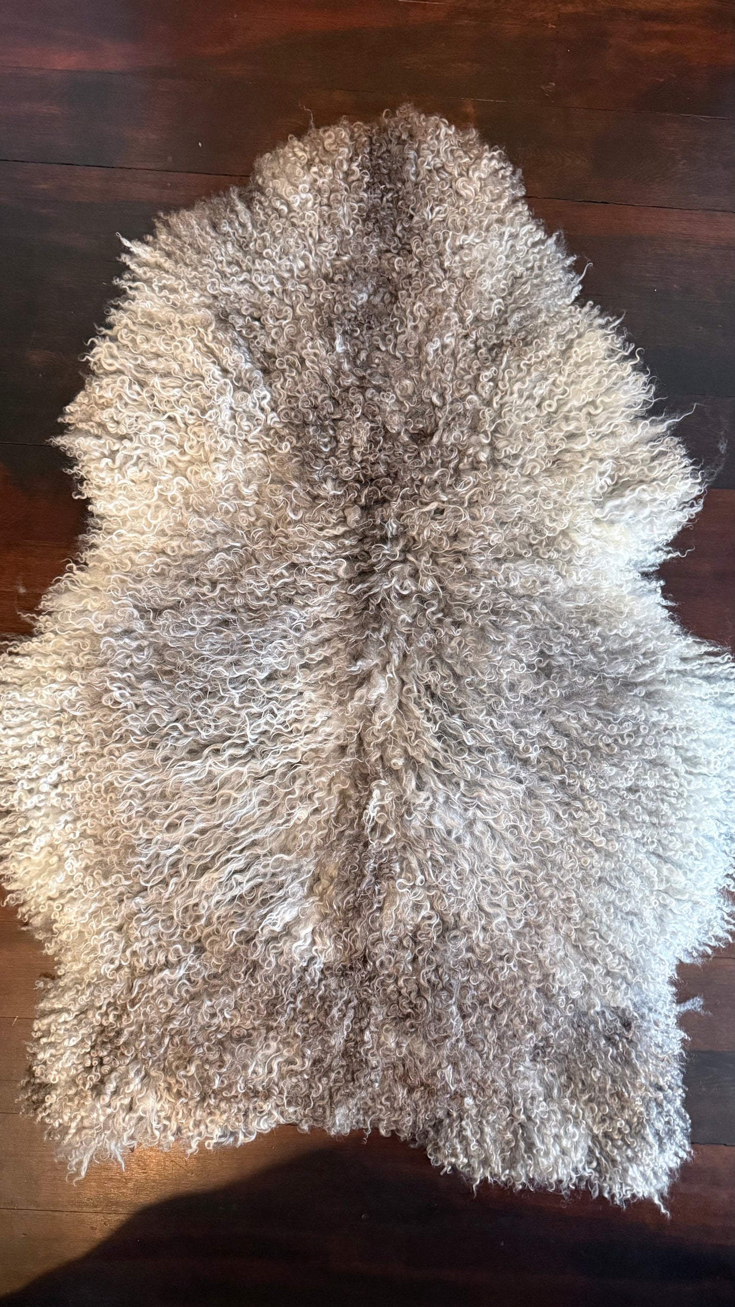 
                  
                    Gotland Sheepskin Rug, Light Grey/Silver, Long Wool
                  
                
