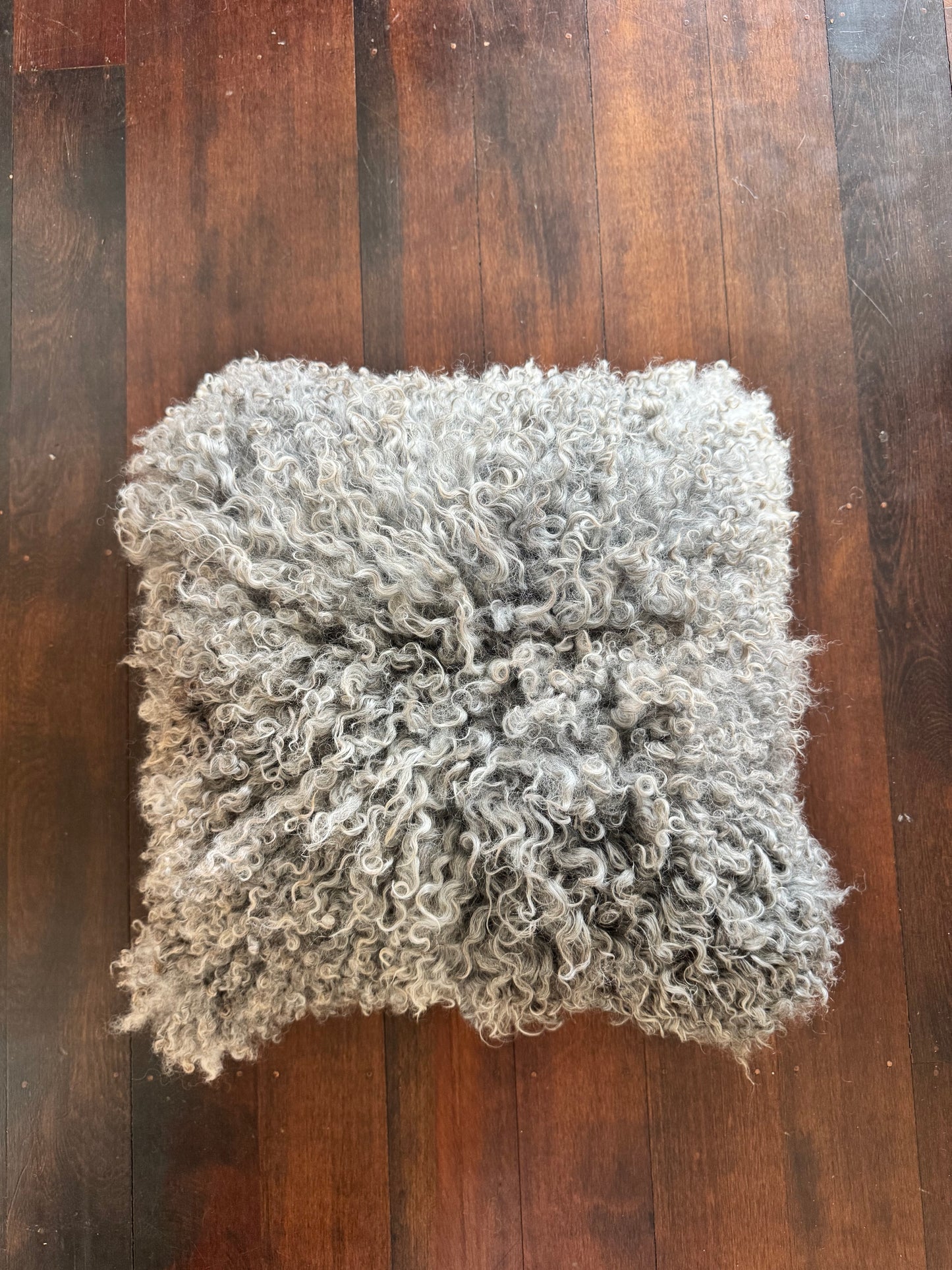 
                  
                    Gotland Sheepskin Large Pillow Silver
                  
                
