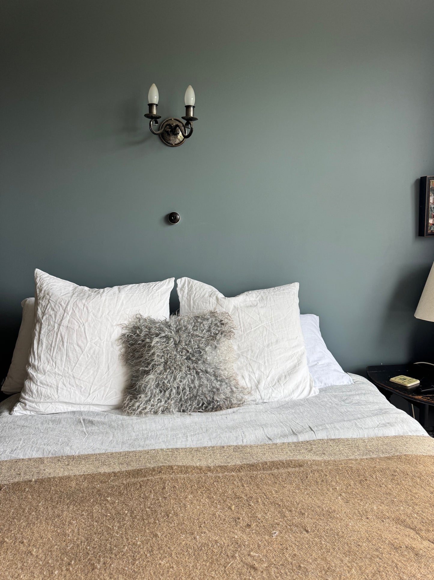 
                  
                    Gotland Sheepskin Small Pillow Light Silver Grey
                  
                