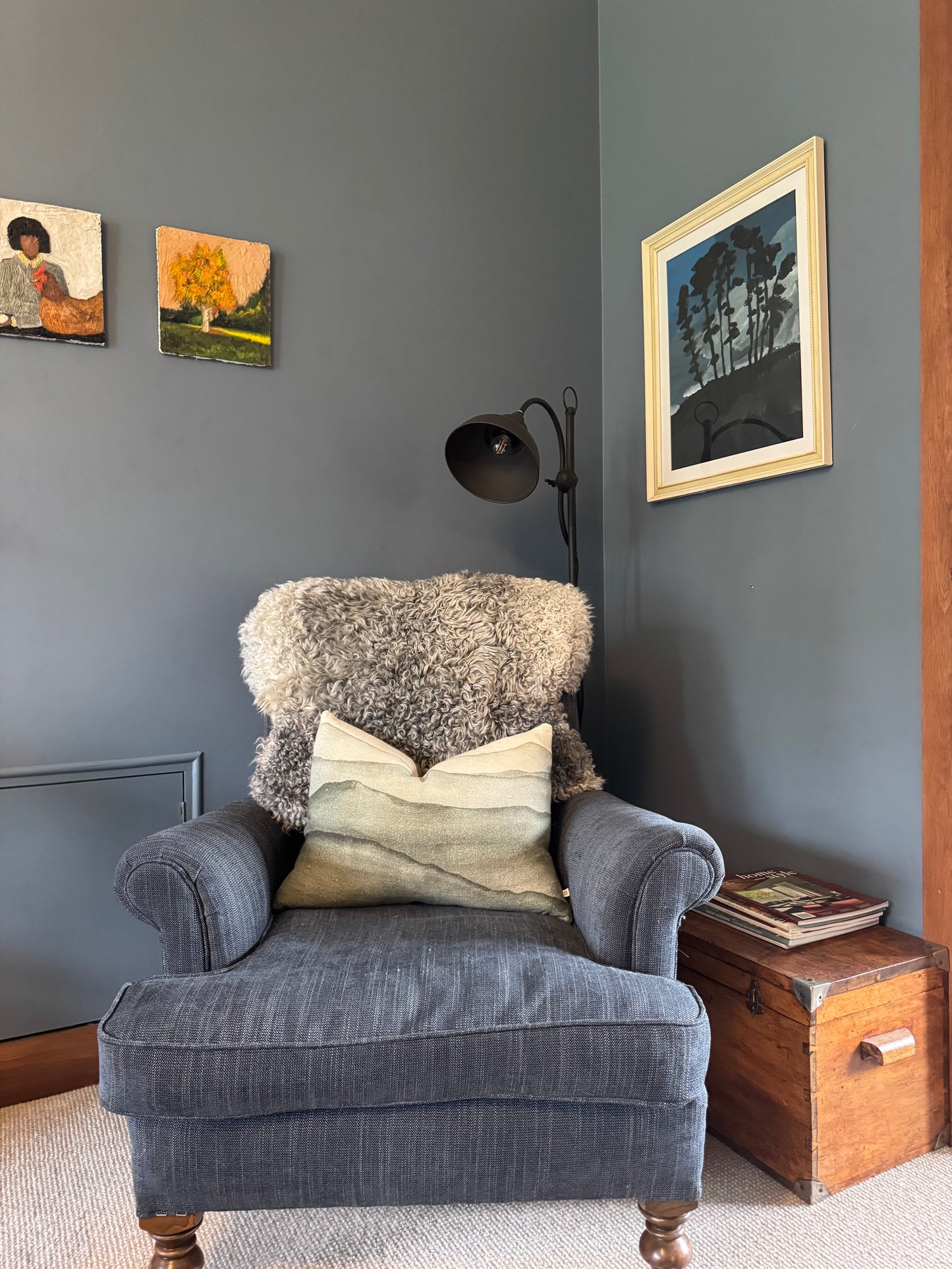 
                  
                    Gotland Sheepskin Rug Silver Grey Long Wool
                  
                