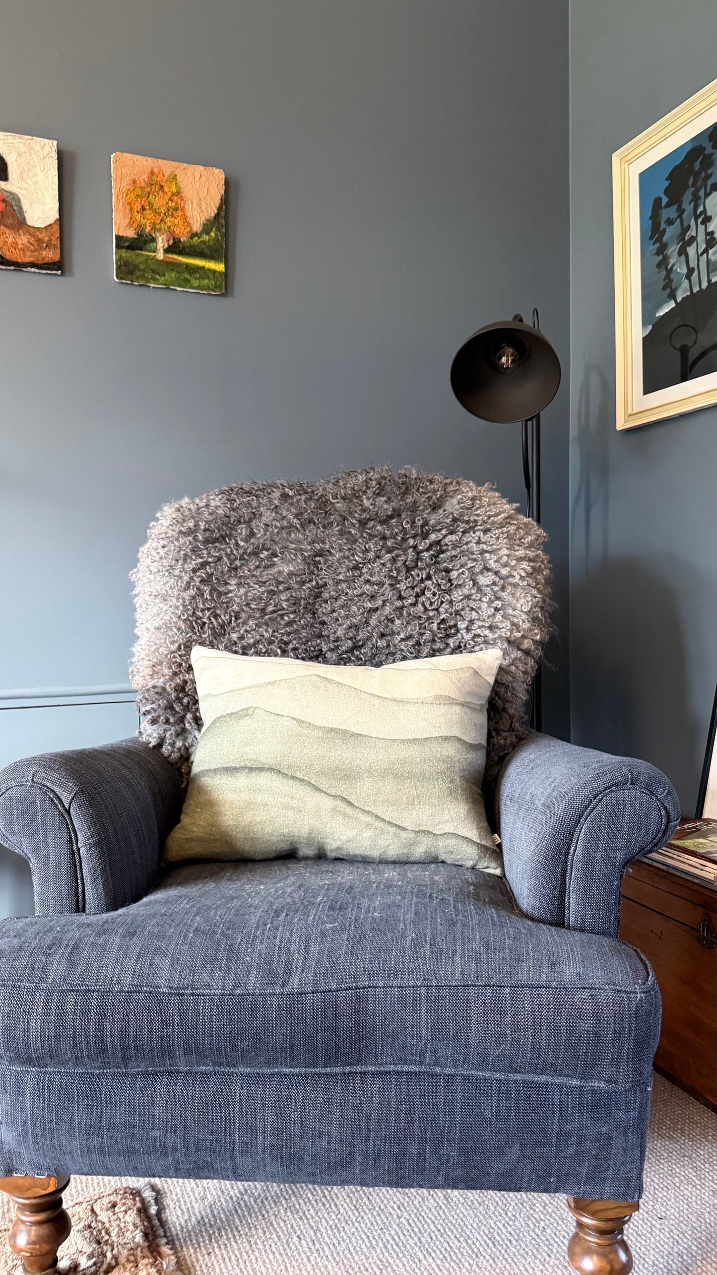 
                  
                    Gotland Sheepskin Rug, Mid/Dark Grey, Long Wool
                  
                