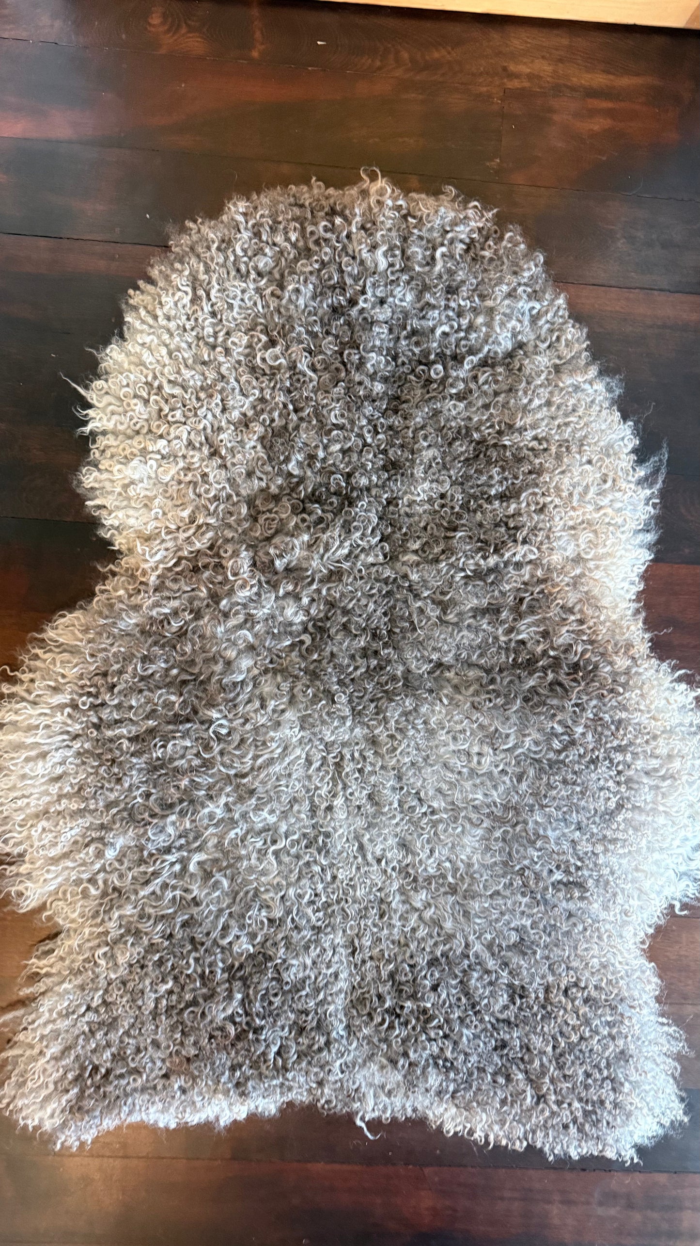 
                  
                    Gotland Sheepskin Rug, Light/Mid Grey, Long Wool
                  
                