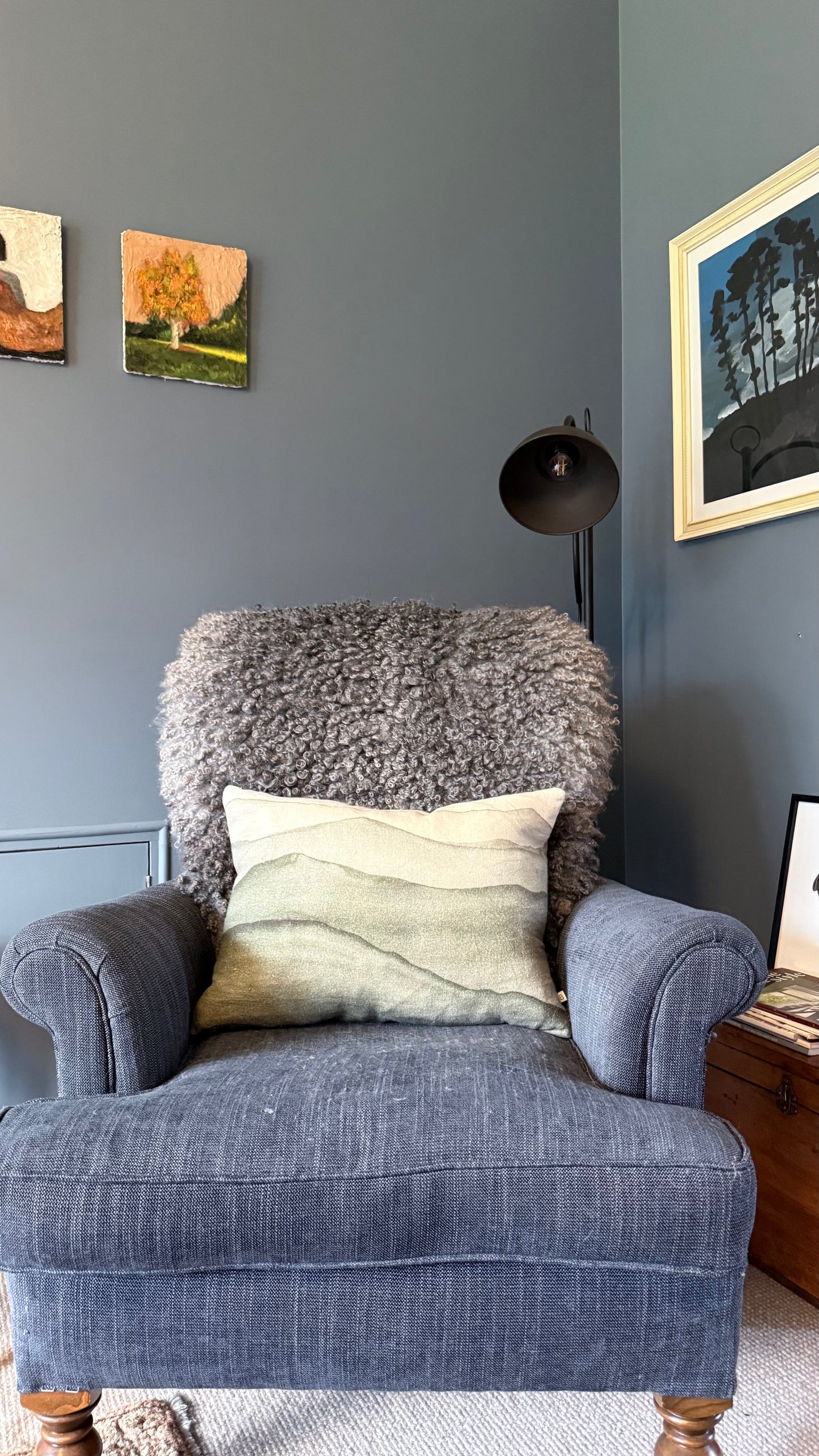 
                  
                    Gotland Sheepskin Rug, Mid/Dark Grey, Long Wool
                  
                